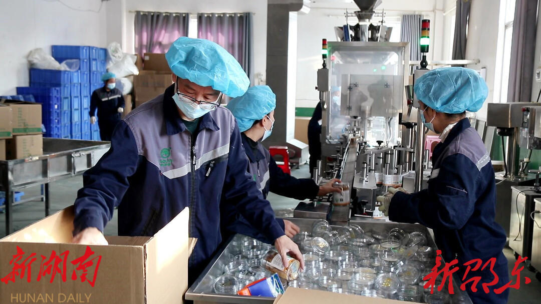 湖南省松龄堂中药饮片有限公司:加班加点赶订单 期望“药博会”永久落户廉桥_邵阳头条网